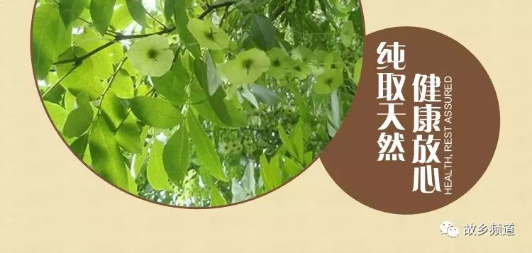 富硒秋葵金花葵茶的功效（葵金花的功效）-硒宝网