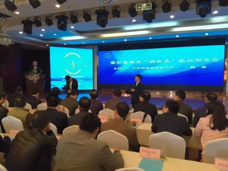 陕西安康紫阳富硒茶品牌(陕西紫阳富硒茶是红茶还是绿茶)-硒宝网