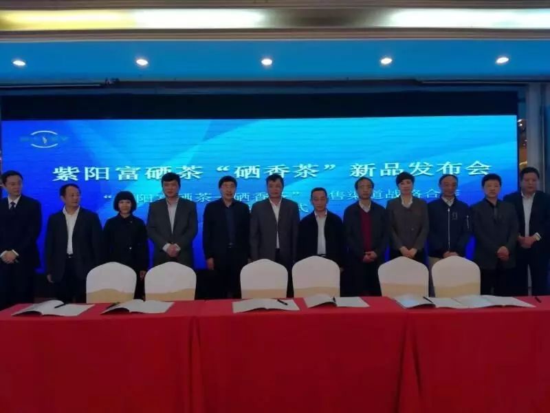 陕西安康紫阳富硒茶品牌(陕西紫阳富硒茶是红茶还是绿茶)-硒宝网