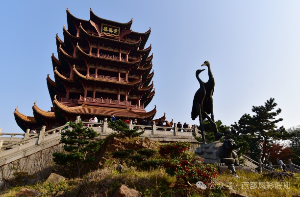 恩施富硒茶孕妇可以喝吗(孕妇喝富硒水)-硒宝网