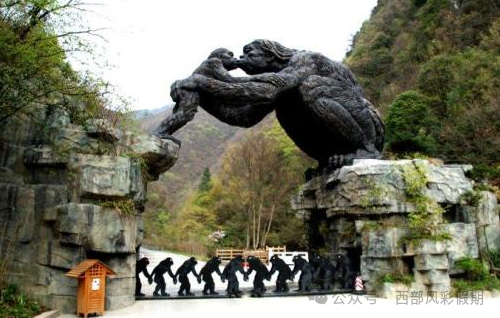 恩施富硒茶孕妇可以喝吗(孕妇喝富硒水)-硒宝网