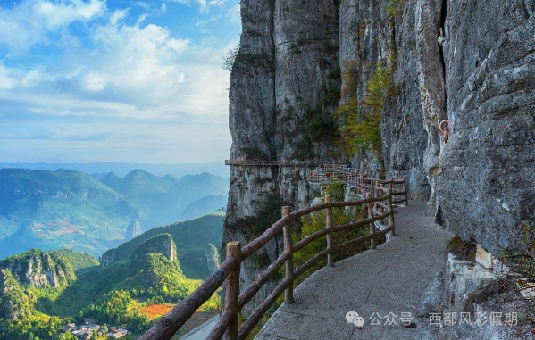 恩施富硒茶孕妇可以喝吗(孕妇喝富硒水)-硒宝网