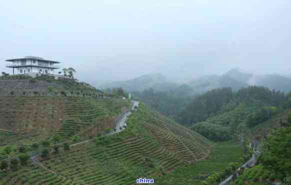 湖北富硒茶的种类有哪些(湖北富硒茶是绿茶吗)-硒宝网