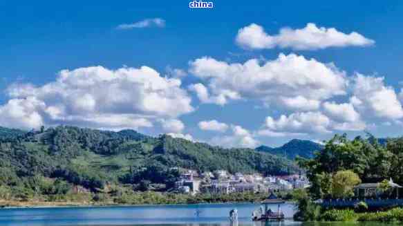 湖北富硒茶的种类有哪些(湖北富硒茶是绿茶吗)-硒宝网