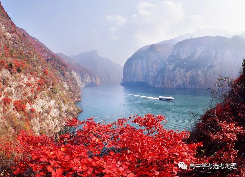 赤道富硒茶的功效与作用（富硒茶功效）-硒宝网