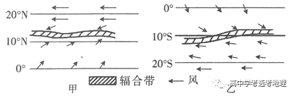 赤道富硒茶的功效与作用（富硒茶功效）-硒宝网