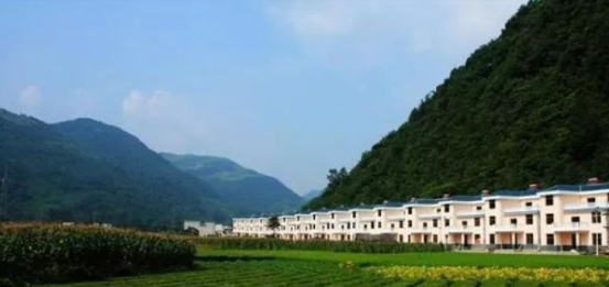 恩施富硒茶在外地不好卖（恩施富硒茶哪里有卖的）-硒宝网