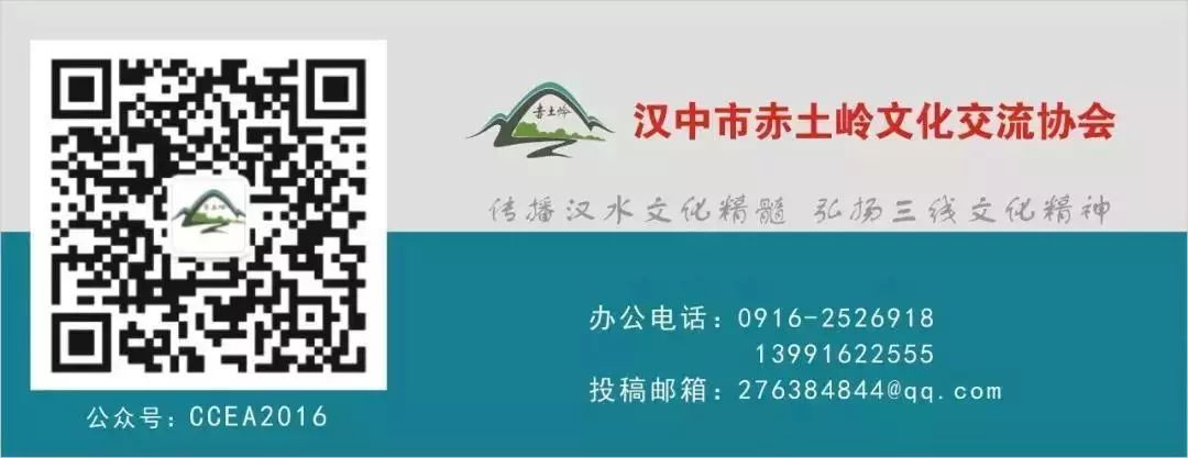 富硒茶产业发展现状论文（现状论文茶产业富硒发展趋势）-硒宝网