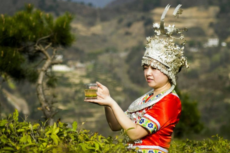 富硒茶产业发展现状论文（现状论文茶产业富硒发展趋势）-硒宝网