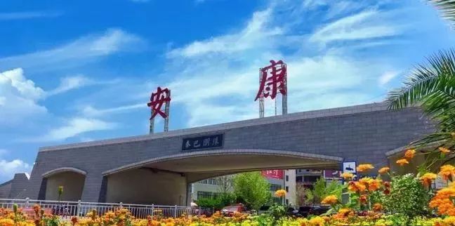 如何泡紫阳富硒茶喝最好（紫阳富硒茶的泡法及水温）-硒宝网