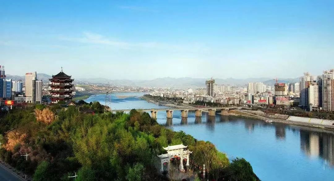 如何泡紫阳富硒茶喝最好（紫阳富硒茶的泡法及水温）-硒宝网