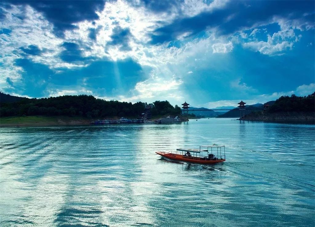 如何泡紫阳富硒茶喝最好（紫阳富硒茶的泡法及水温）-硒宝网