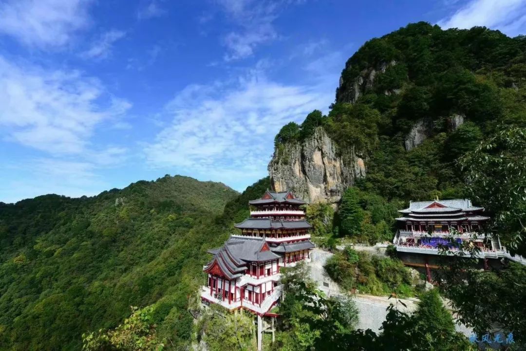 如何泡紫阳富硒茶喝最好（紫阳富硒茶的泡法及水温）-硒宝网