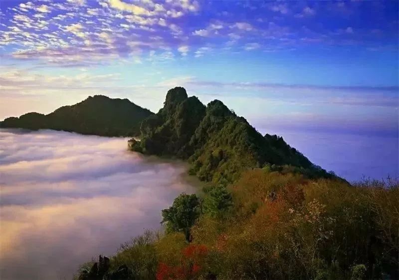 如何泡紫阳富硒茶喝最好（紫阳富硒茶的泡法及水温）-硒宝网