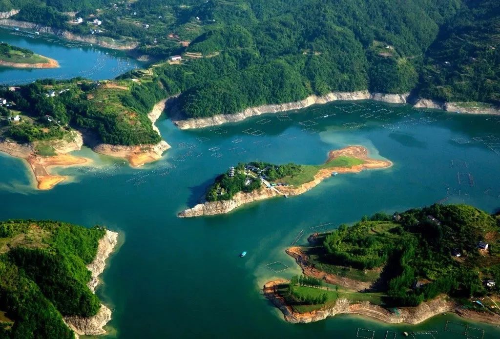 如何泡紫阳富硒茶喝最好（紫阳富硒茶的泡法及水温）-硒宝网