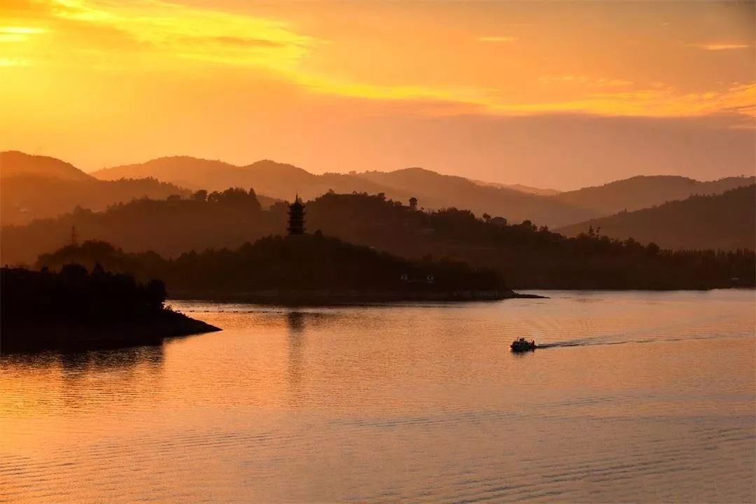 如何泡紫阳富硒茶喝最好（紫阳富硒茶的泡法及水温）-硒宝网