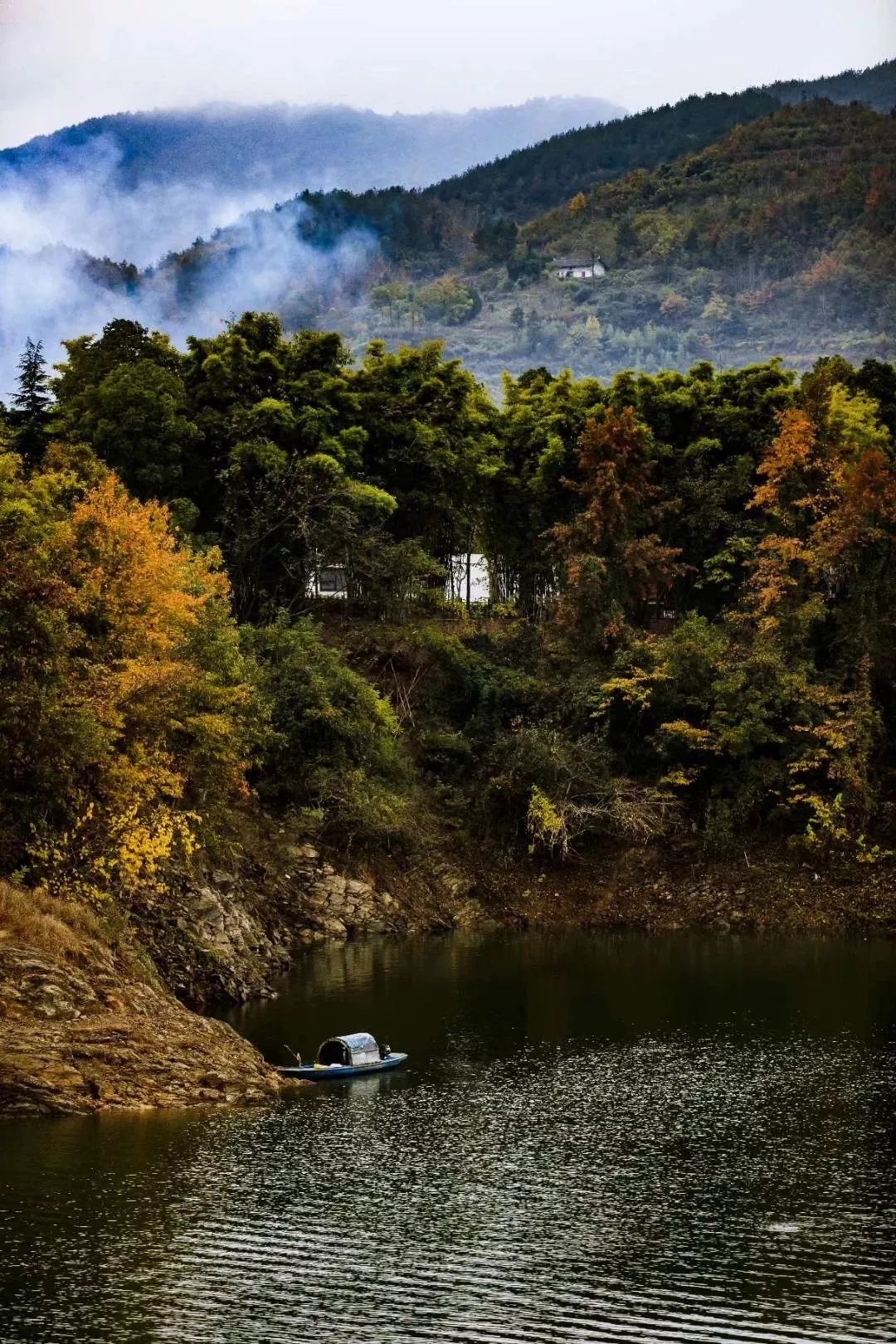 如何泡紫阳富硒茶喝最好（紫阳富硒茶的泡法及水温）-硒宝网