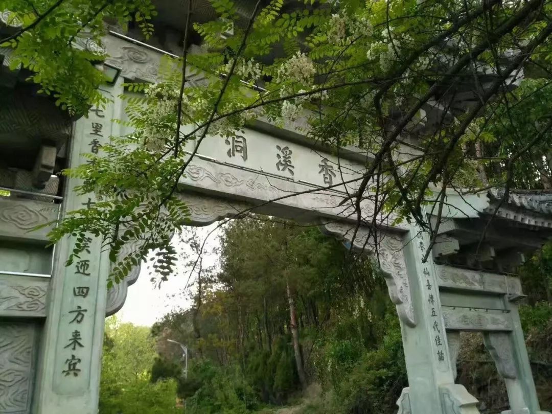 如何泡紫阳富硒茶喝最好（紫阳富硒茶的泡法及水温）-硒宝网