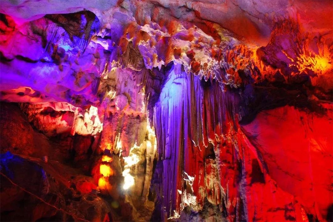 如何泡紫阳富硒茶喝最好（紫阳富硒茶的泡法及水温）-硒宝网