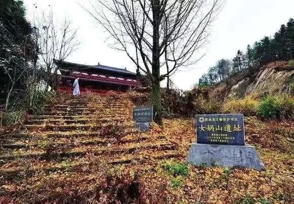 如何泡紫阳富硒茶喝最好（紫阳富硒茶的泡法及水温）-硒宝网