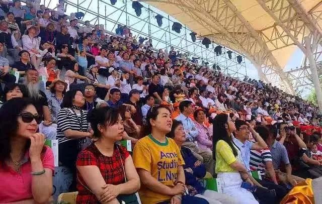 如何泡紫阳富硒茶喝最好（紫阳富硒茶的泡法及水温）-硒宝网