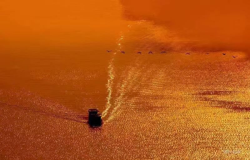 如何泡紫阳富硒茶喝最好（紫阳富硒茶的泡法及水温）-硒宝网