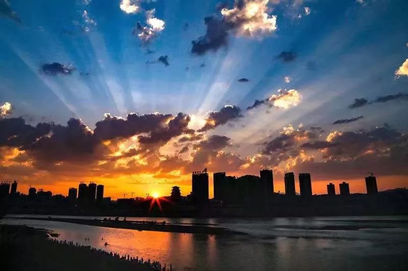 如何泡紫阳富硒茶喝最好（紫阳富硒茶的泡法及水温）-硒宝网