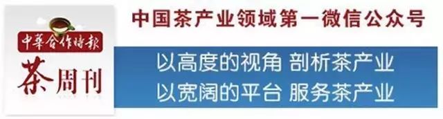 紫阳的毛尖是不是富硒茶（富硒紫阳茶多少钱一斤）-硒宝网
