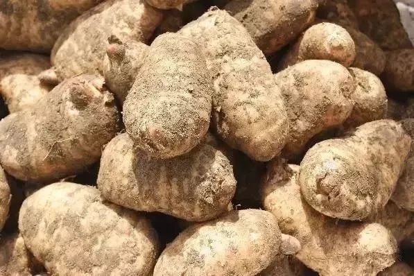 恩施富硒茶分布在哪里?。ǘ魇└晃栉幕哪诤校?硒宝网