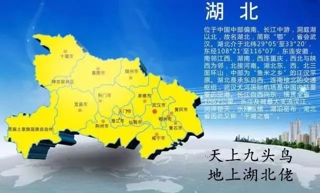 恩施富硒茶分布在哪里啊（恩施富硒茶文化的内涵有）-硒宝网