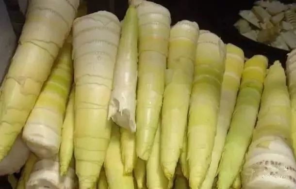 恩施富硒茶分布在哪里?。ǘ魇└晃栉幕哪诤校?硒宝网