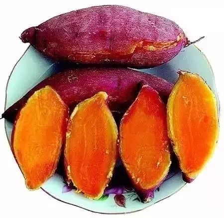 恩施富硒茶分布在哪里啊（恩施富硒茶文化的内涵有）-硒宝网