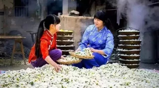 恩施富硒茶分布在哪里?。ǘ魇└晃栉幕哪诤校?硒宝网