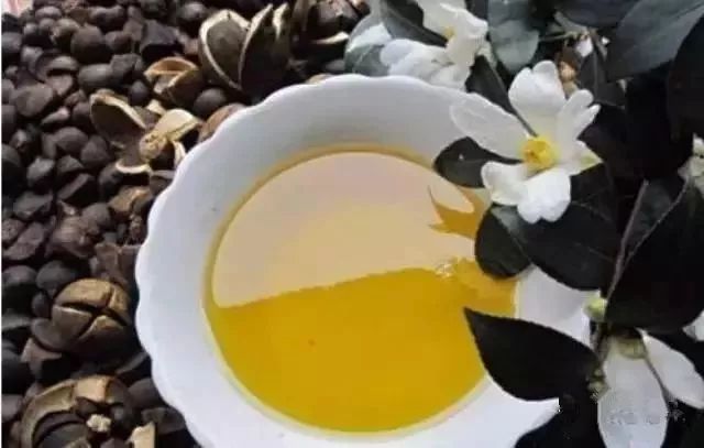 恩施富硒茶分布在哪里?。ǘ魇└晃栉幕哪诤校?硒宝网