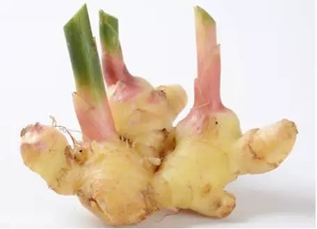 恩施富硒茶分布在哪里啊（恩施富硒茶文化的内涵有）-硒宝网