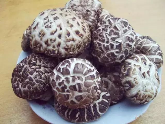 恩施富硒茶分布在哪里?。ǘ魇└晃栉幕哪诤校?硒宝网