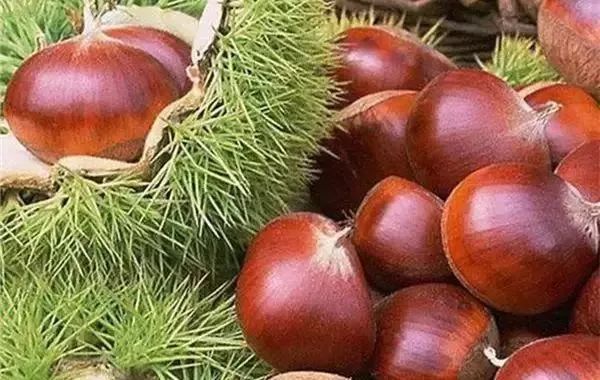 恩施富硒茶分布在哪里啊（恩施富硒茶文化的内涵有）-硒宝网