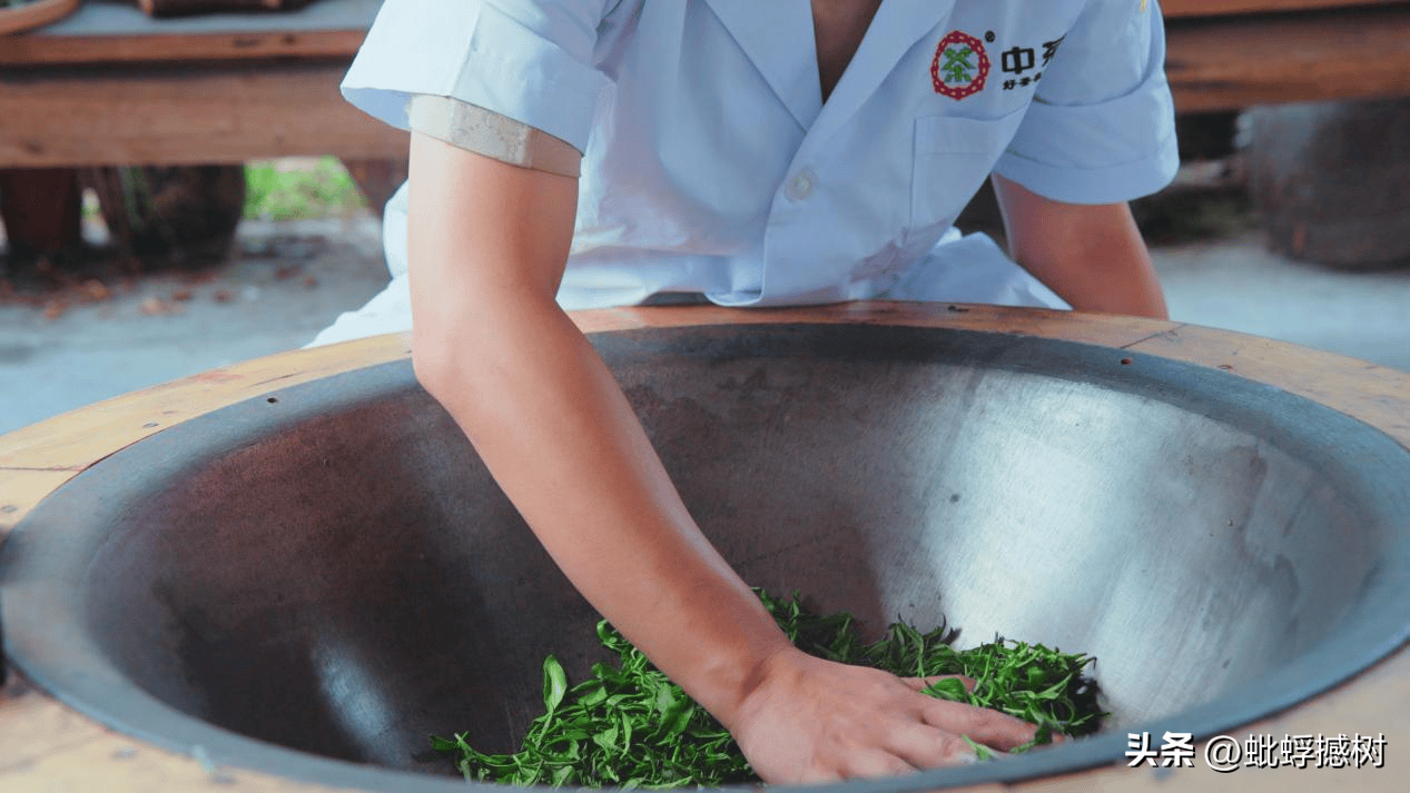 紫阳富硒茶哪家好喝点?。ㄗ涎舾晃韬慷嗌伲?硒宝网