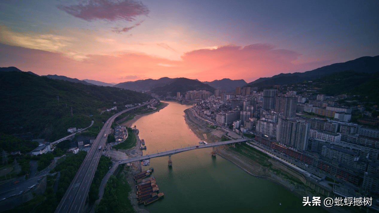 紫阳富硒茶哪家好喝点啊（紫阳富硒茶含硒量多少）-硒宝网