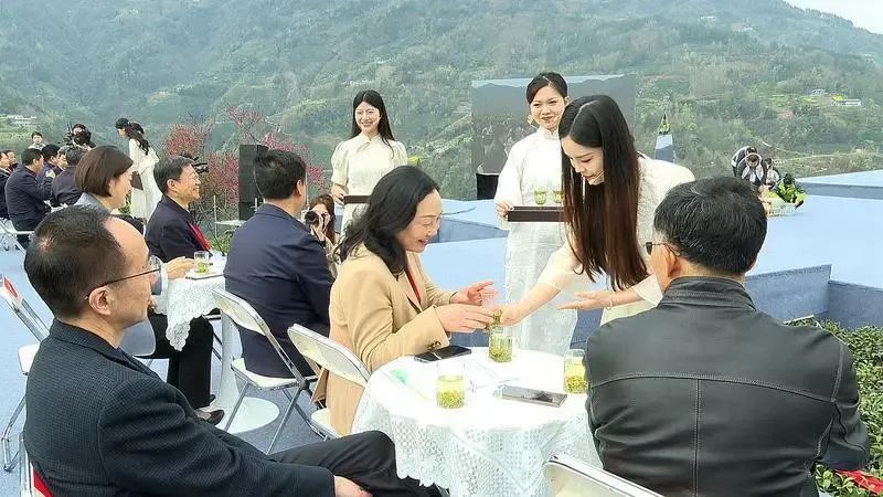 紫阳富硒茶可以长期喝吗(天天喝富硒茶会硒中毒吗)-硒宝网