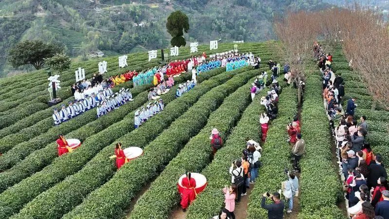 紫阳富硒茶可以长期喝吗(天天喝富硒茶会硒中毒吗)-硒宝网