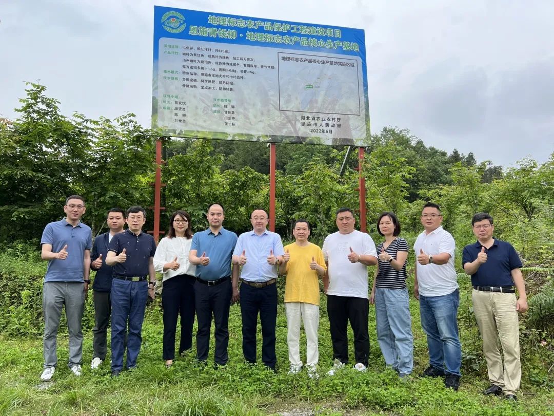 恩施富硒茶分布在哪里?。ǘ魇└晃璨兀?硒宝网