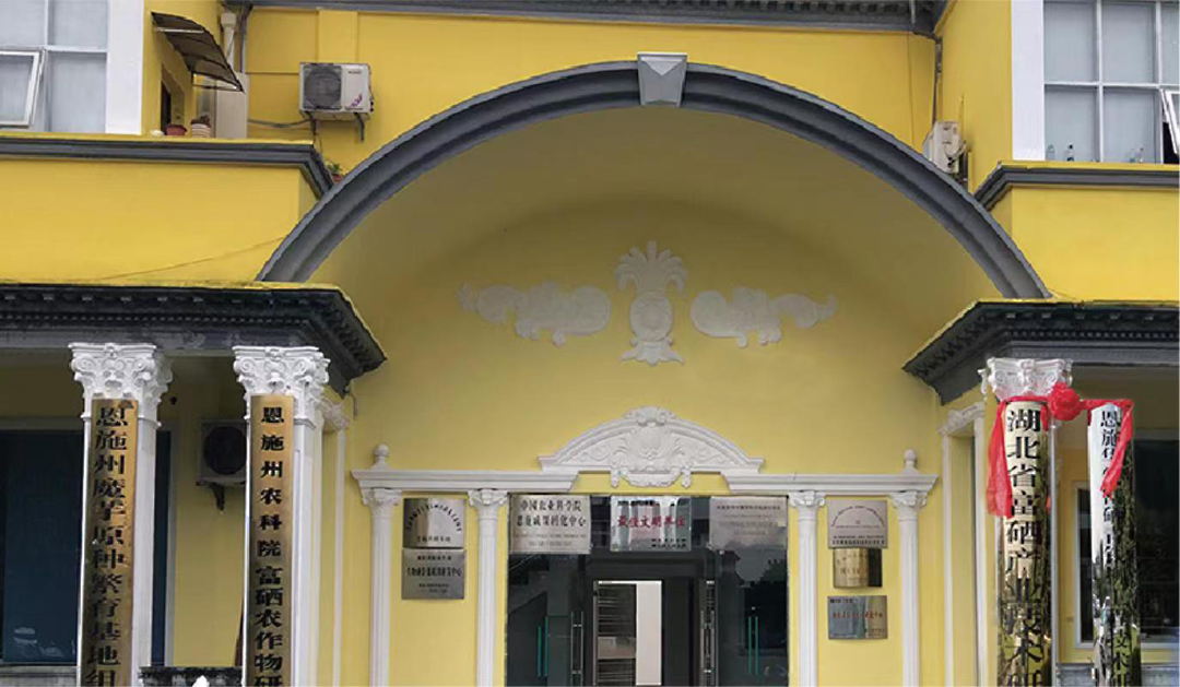 恩施富硒茶分布在哪里?。ǘ魇└晃璨兀?硒宝网