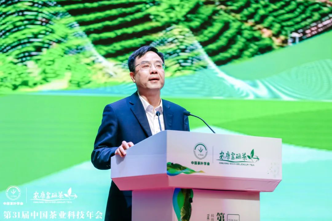 安康富硒茶产业发展现状（安康富硒茶发展情况）-硒宝网