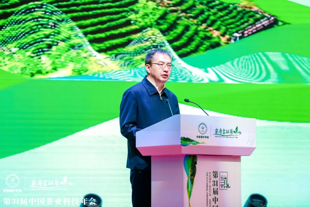 安康富硒茶产业发展现状（安康富硒茶发展情况）-硒宝网