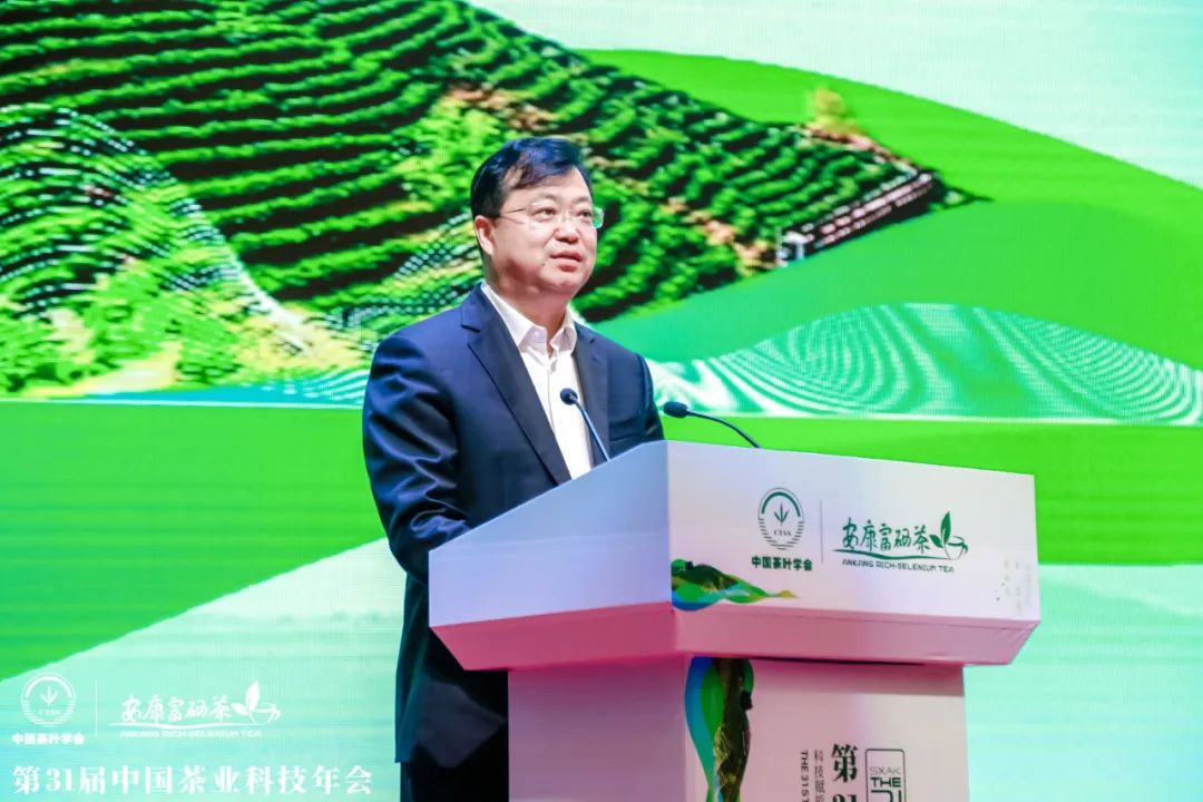 安康富硒茶产业发展现状（安康富硒茶发展情况）-硒宝网