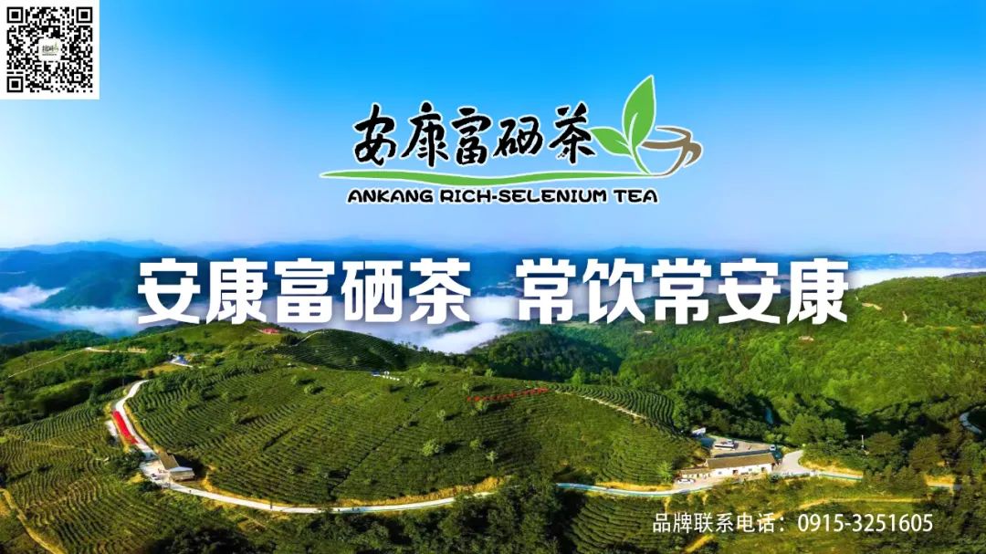 安康富硒茶产业发展现状（安康富硒茶发展情况）-硒宝网