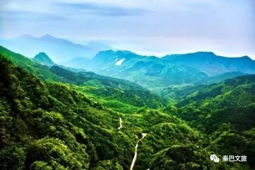 西安卖紫阳富硒茶的地方(陕西省紫阳富硒茶)-硒宝网