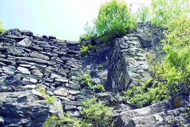 西安卖紫阳富硒茶的地方(陕西省紫阳富硒茶)-硒宝网