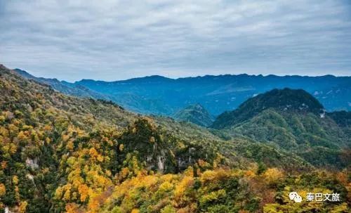 西安卖紫阳富硒茶的地方(陕西省紫阳富硒茶)-硒宝网